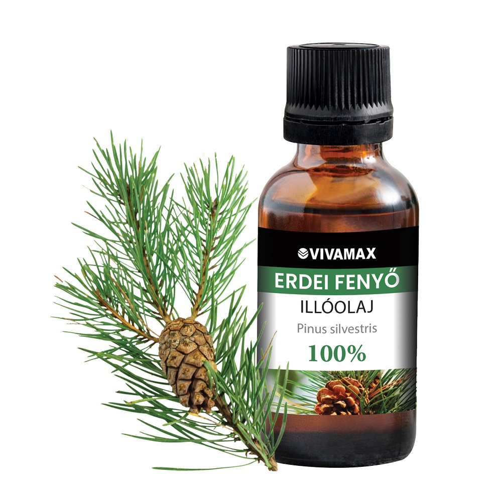 Termék: Erdei fenyő 100%-os tisztaságú illóolaj (10 ml)